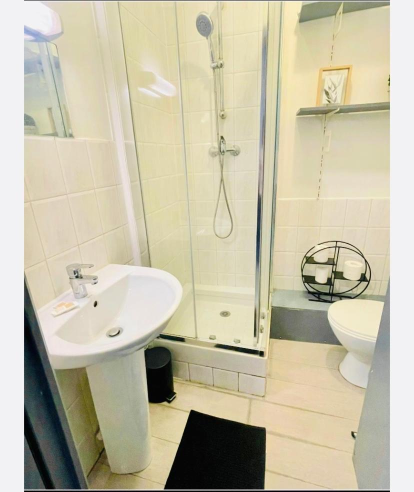 Studio Entier 1 Piece Et Salle De Bain Lille Exterior photo
